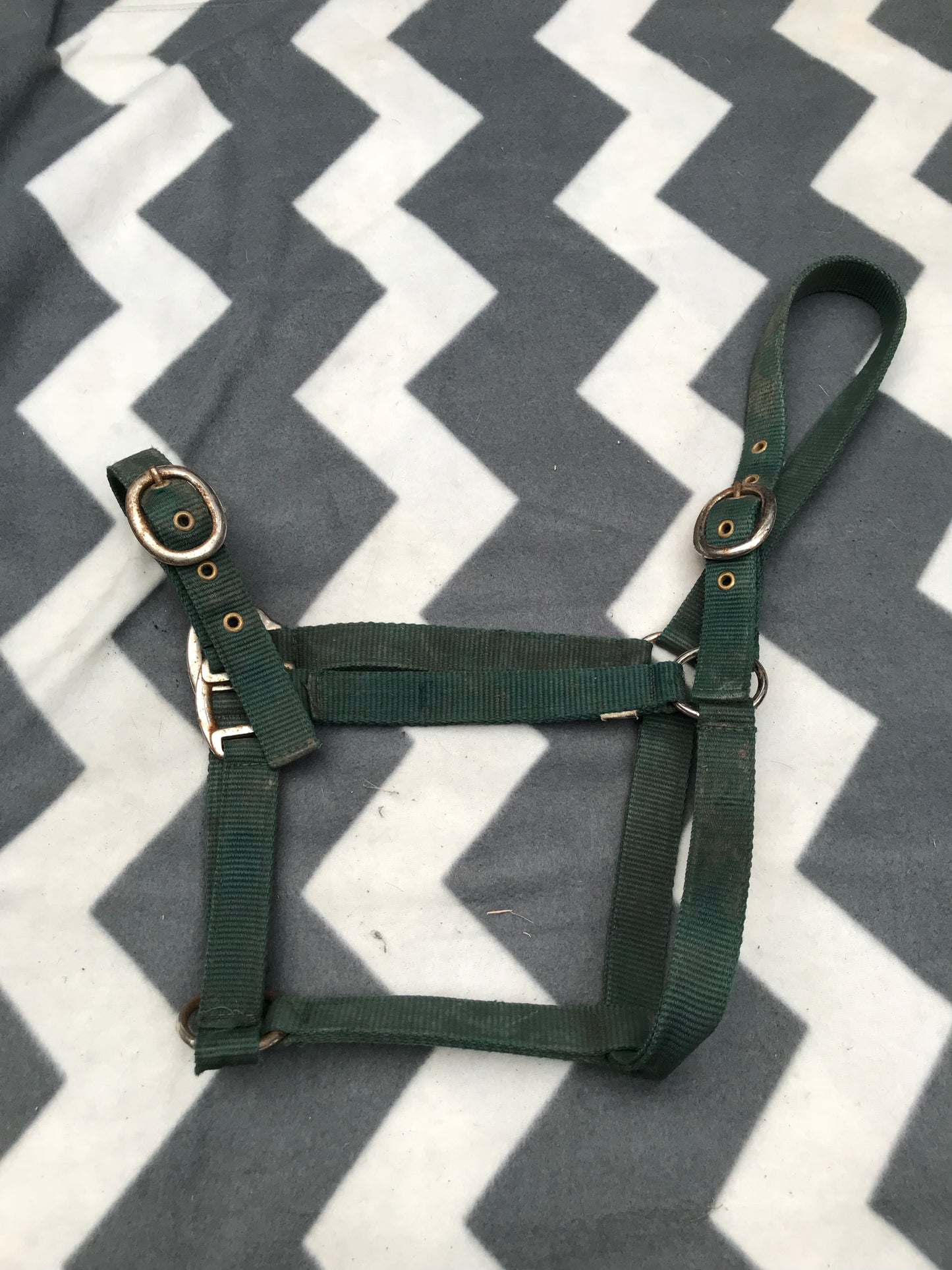 Green full size head collar FREE POSTAGE