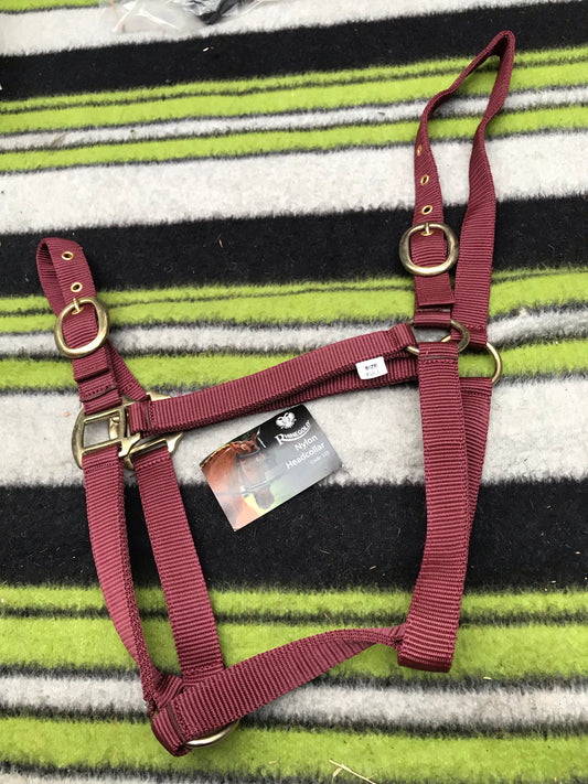 new rhinegold burgundy head collar full size
