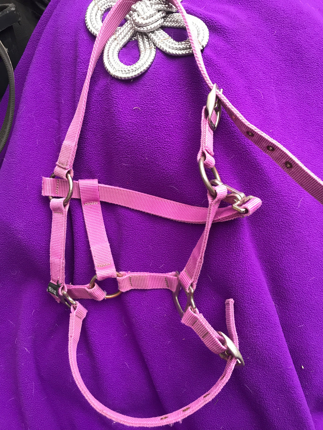 Pink shires Head Collar size: Cob (FREE POSTAGE)