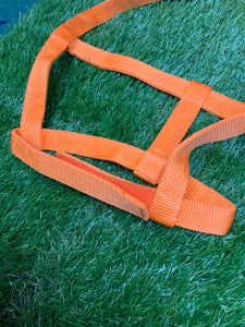 Rhinegold shetland orange field safety head-collar