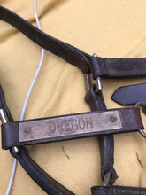 brown full head collar size: full (FREE POSTAGE)