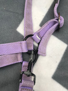 Purple full size head collar FREE POSTAGE