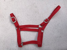 Gallop red full size head collar FREE POSTAGE