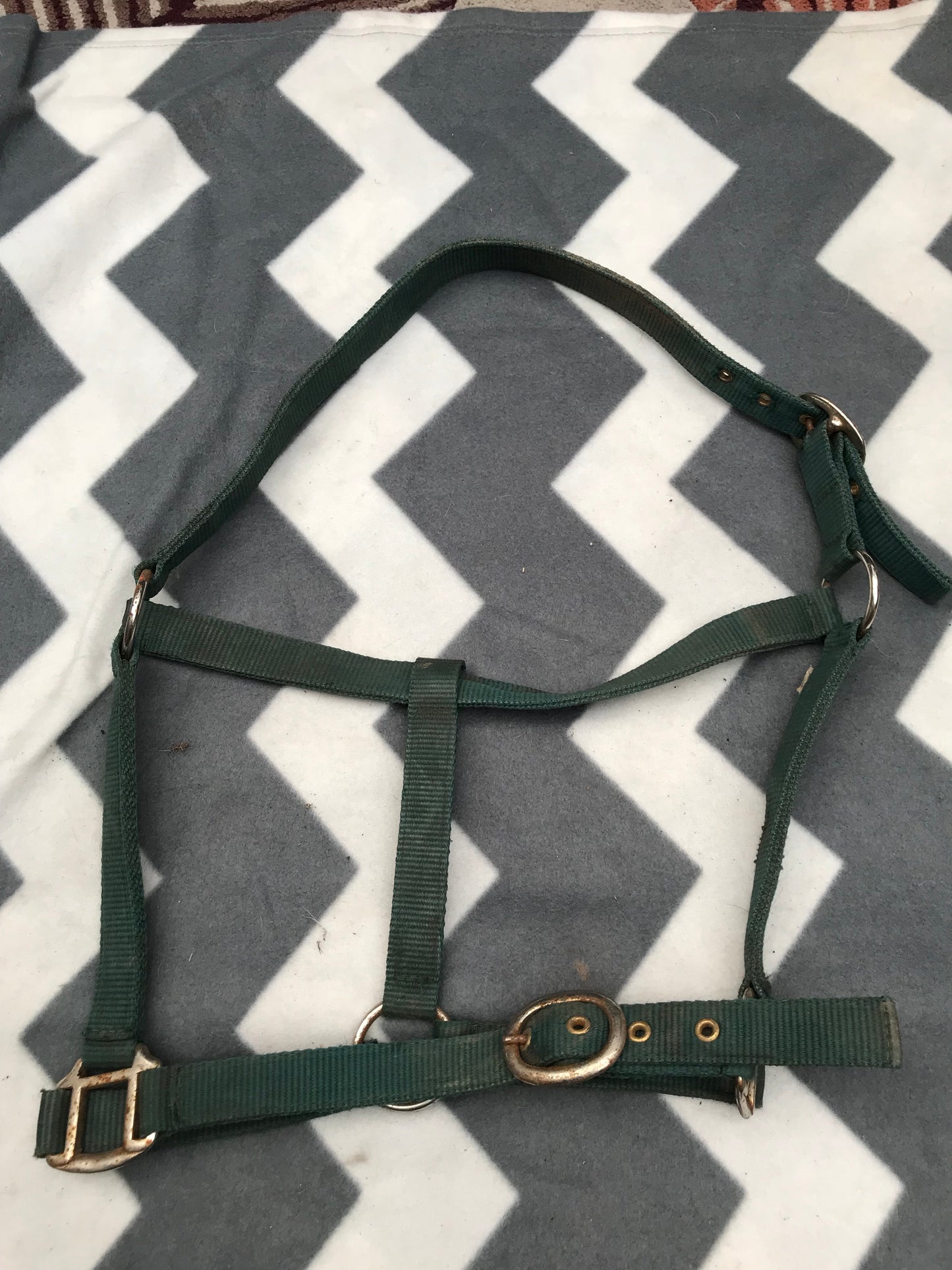 Green full size head collar FREE POSTAGE