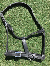 NEW equi-craft deluxe black head collar cob size FREE POSTAGE