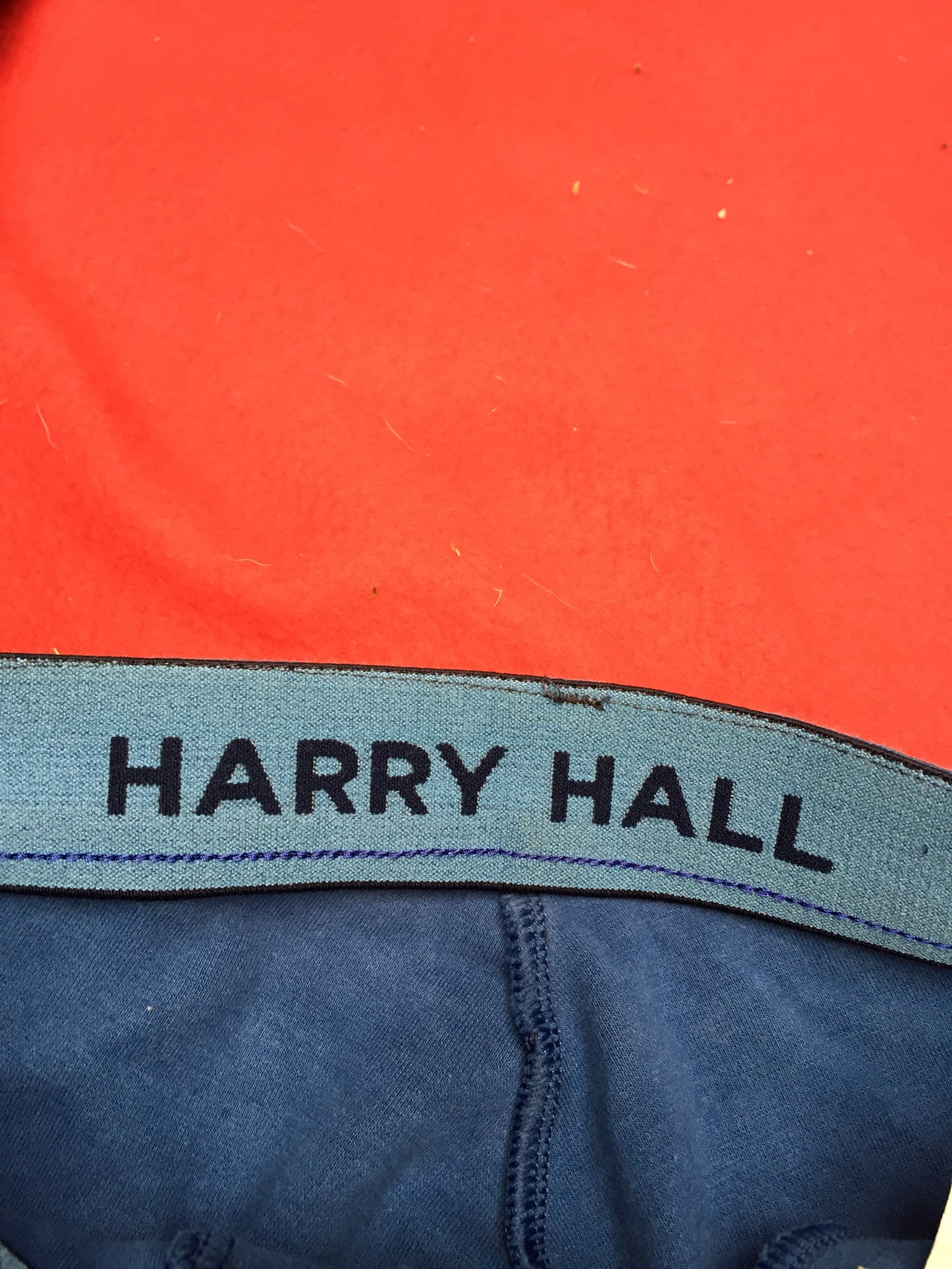 Harry Hall blue jodhpurs size: 8 (FREE POSTAGE)