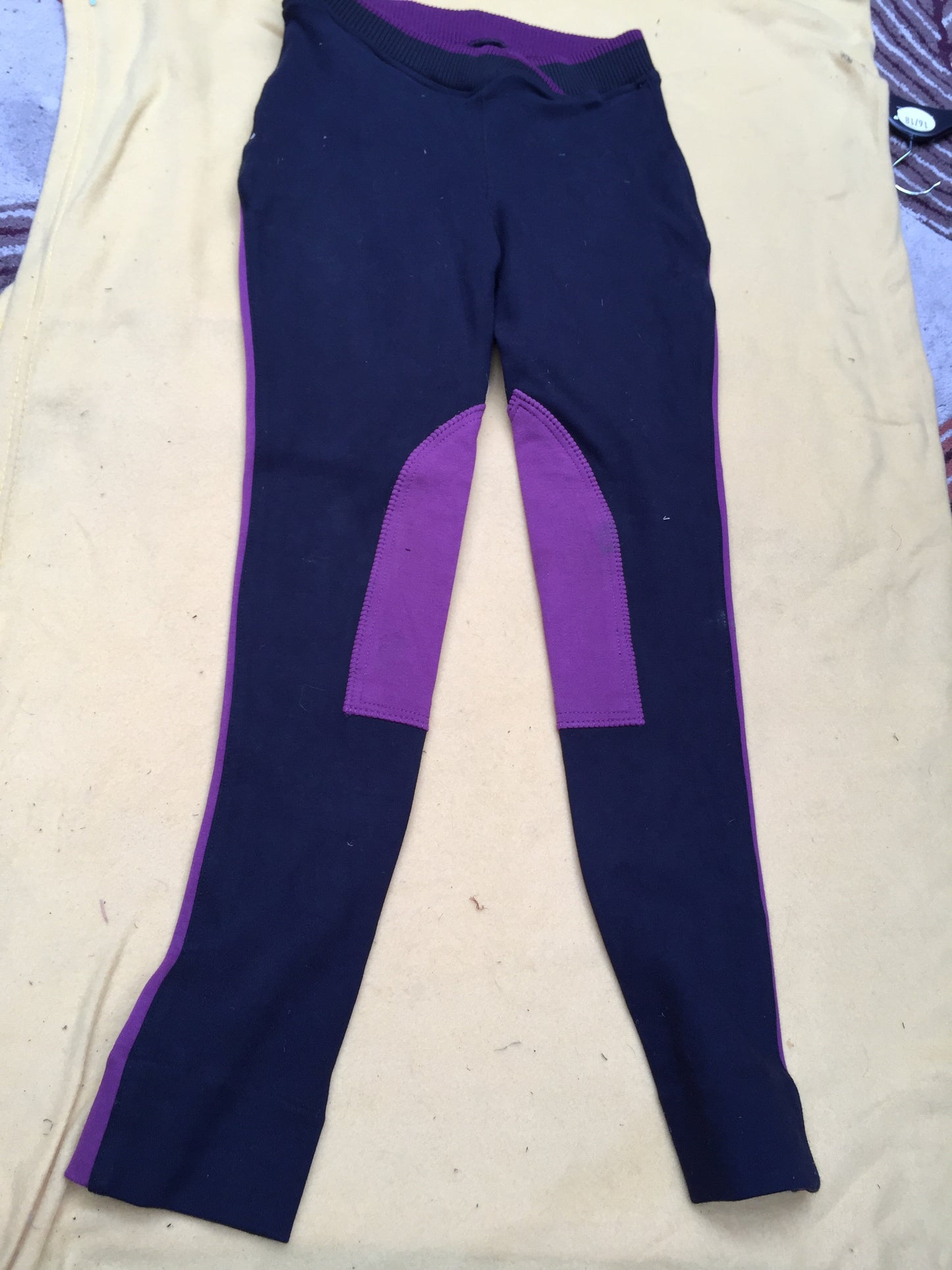 Harry Hall black and purple jodhpurs size: 26 (FREE POSTAGE) size 8