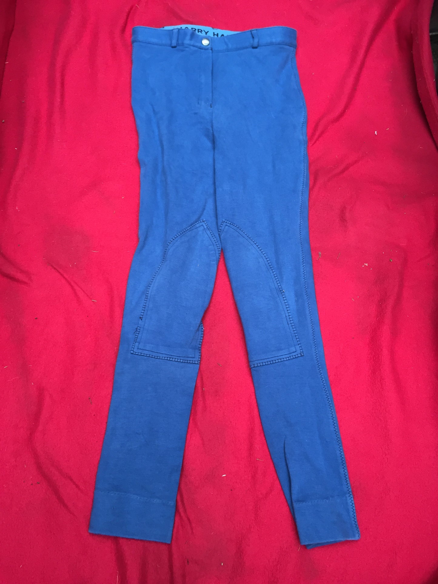 Harry Hall blue jodhpurs size: 8 (FREE POSTAGE)